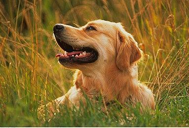 《星际战士2》销量超700万 团队称其定义IP游戏标杆