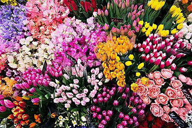 《刺客信条：幻景》有更丰富密集地图 更注重隐身跑酷